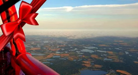 Produit Vol privatisé en Brenne Image